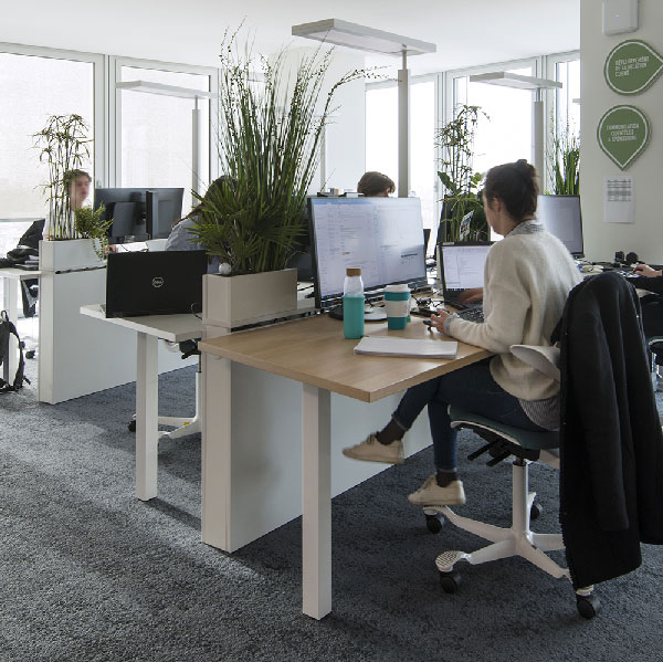 bureau séparé par un séparateur de bureau Bernard